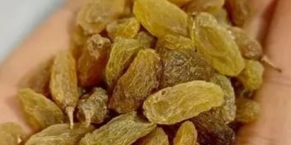 تصویر 2 از خرید و قیمت کشمش سبز ممتاز + فروش صادراتی